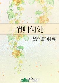 情归何处