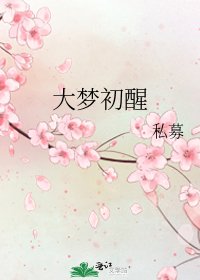 《大梦初醒》