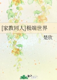 [家教同人]极端世界