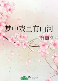 梦中戏里有山河