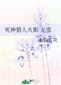 《死神猎人火影 无雪》