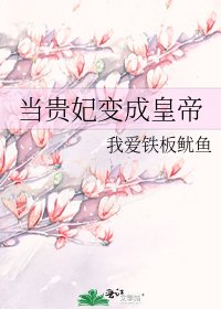 《当贵妃变成皇帝》