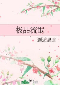 《极品流氓》