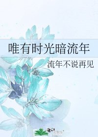 唯有时光暗流年