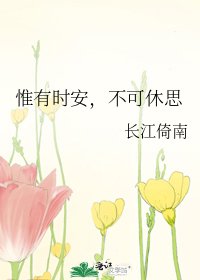 《惟有时安,不可休思》