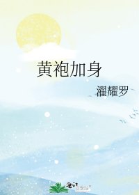 黄袍加身