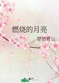 《燃烧的月亮》