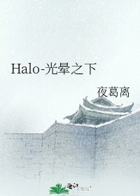 《Halo-光晕之下》