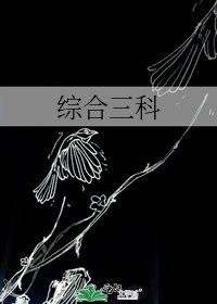 综合三科