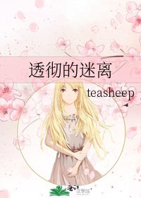 《透彻的迷离》