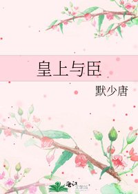 皇上与臣
