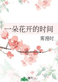 《一朵花开的时间》