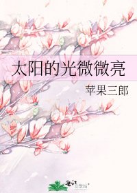 《太阳的光微微亮》