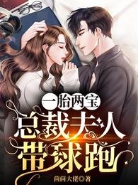 《一胎两宝:总裁夫人带球跑》