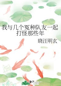 我与几个冤种队友一起打怪那些年