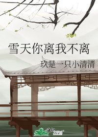 《雪天你离我不离》