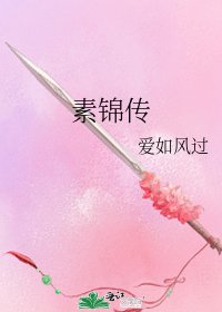 素锦传