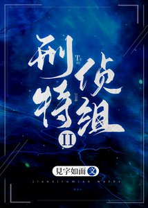 《刑侦特组II》