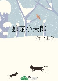独宠小夫郎