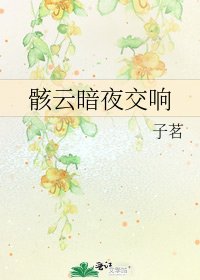 《骸云暗夜交响》