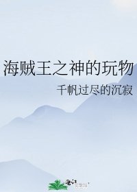 《海贼王之神的玩物》