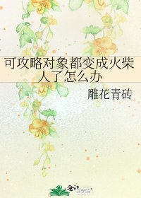 《可攻略对象都变成火柴人了怎么办》