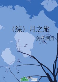 (综)月之旅