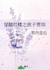 《穿越红楼之庶子贾琮》