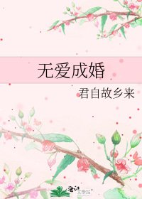 无爱成婚