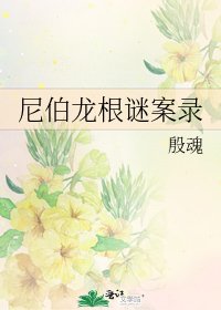 尼伯龙根谜案录