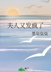 夫人又发疯了