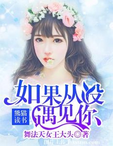 《如果从没遇见你》
