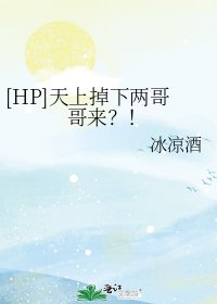 [HP]天上掉下两哥哥来？！