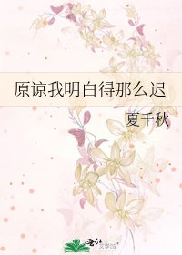 《原谅我明白得那么迟》