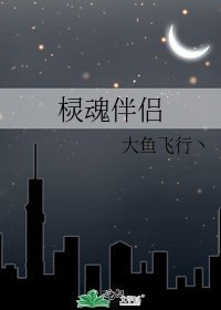 《棂魂伴侣》