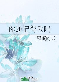 《你还记得我吗》