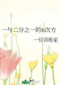 《一与二分之一的n次方》