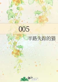 《005》
