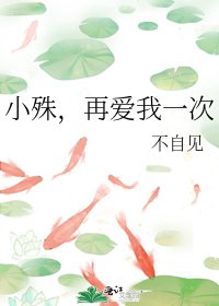 《小殊,再爱我一次》