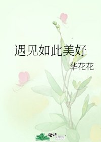 遇见如此美好