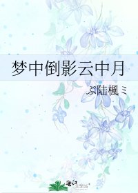 《梦中倒影云中月》