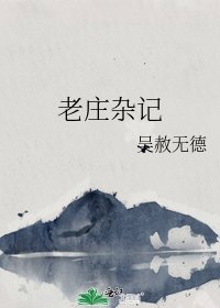 老庄杂记