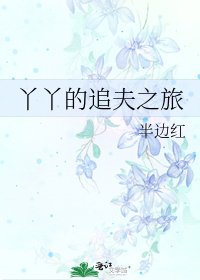 《丫丫的追夫之旅》