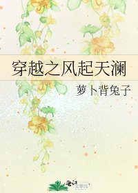 《穿越之风起天澜》