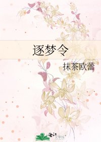 逐梦令