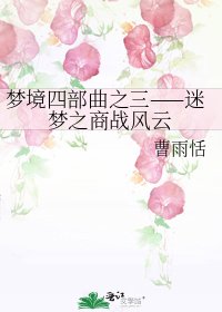 《梦境四部曲之三——迷梦之商战风云》