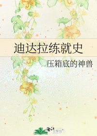 《迪达拉练就史》