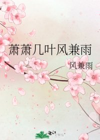 萧萧几叶风兼雨