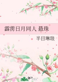 《霹雳日月同人 悬珠》
