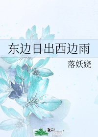 《东边日出西边雨》